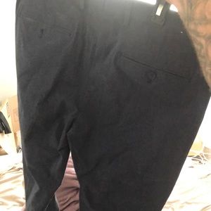 Express dress pants